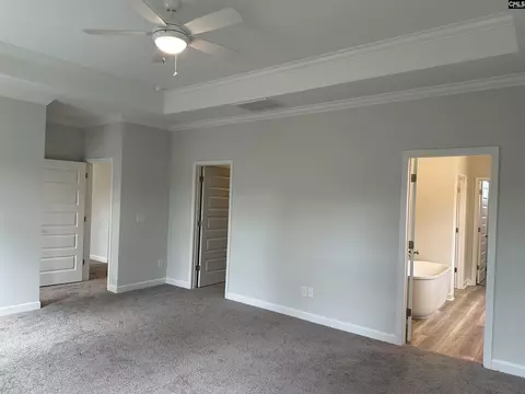 Other - 621 Falling Leaf Ln, Chapin, SC 29036 photo 4 of 8
