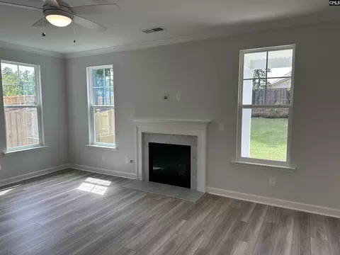 Living - 621 Falling Leaf Ln, Chapin, SC 29036 photo 3 of 3