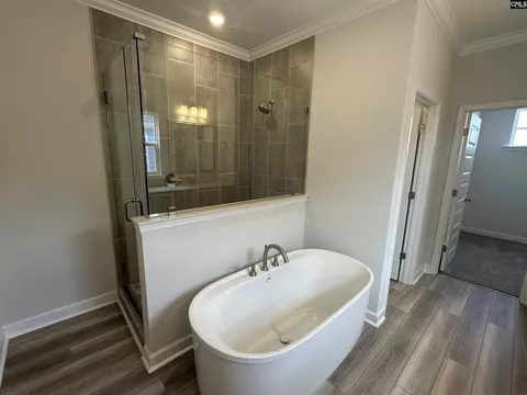 Bath - 621 Falling Leaf Ln, Chapin, SC 29036 photo 2 of 5