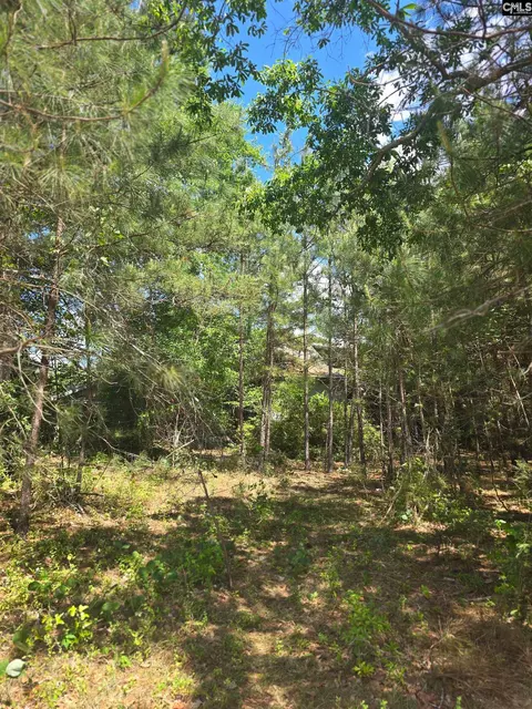 13824 Newberry Rd, Blair, SC 29015