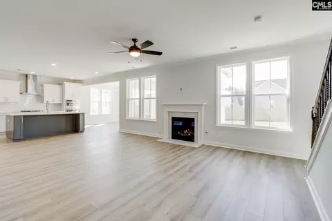 Living - 625 Falling Leaf Ln, Chapin, SC 29036 photo 1 of 4