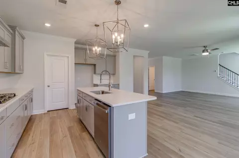 Other - 625 Falling Leaf Ln, Chapin, SC 29036 photo 2 of 6