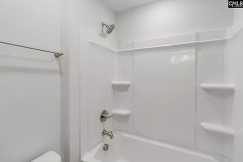 Bath - 625 Falling Leaf Ln, Chapin, SC 29036 photo 6 of 6