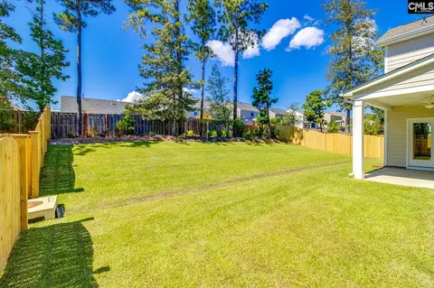 Exterior - 625 Falling Leaf Ln, Chapin, SC 29036 photo 6 of 8