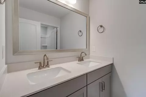 Bath - 625 Falling Leaf Ln, Chapin, SC 29036 photo 3 of 6