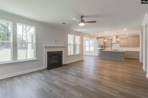Living - 625 Falling Leaf Ln, Chapin, SC 29036 photo 3 of 4