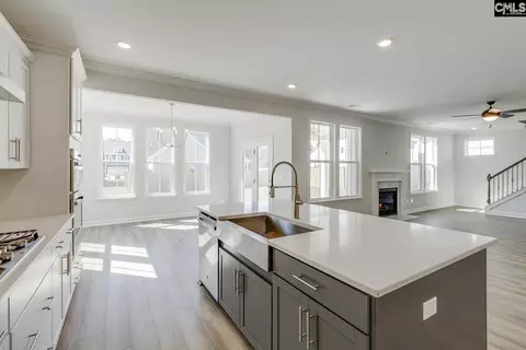 Kitchen - 625 Falling Leaf Ln, Chapin, SC 29036 photo 3 of 4