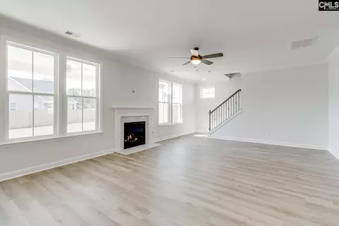 Living - 625 Falling Leaf Ln, Chapin, SC 29036 photo 3 of 4