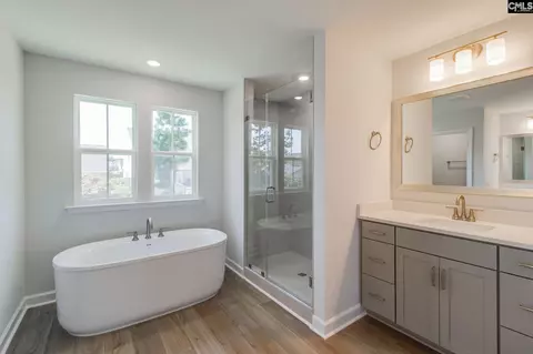Bath - 625 Falling Leaf Ln, Chapin, SC 29036 photo 1 of 6