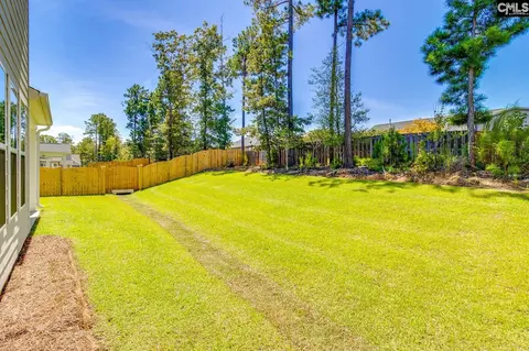 Exterior - 625 Falling Leaf Ln, Chapin, SC 29036 photo 7 of 8
