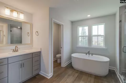 Bath - 625 Falling Leaf Ln, Chapin, SC 29036 photo 2 of 6