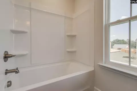Bath - 625 Falling Leaf Ln, Chapin, SC 29036 photo 6 of 6