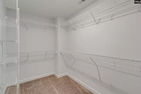 Other - 625 Falling Leaf Ln, Chapin, SC 29036 photo 4 of 6
