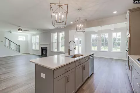 Kitchen - 625 Falling Leaf Ln, Chapin, SC 29036 photo 2 of 3