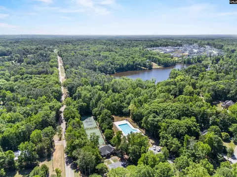 View/Area - 103 Wigfall Ct, Lexington, SC 29072 photo 4 of 5