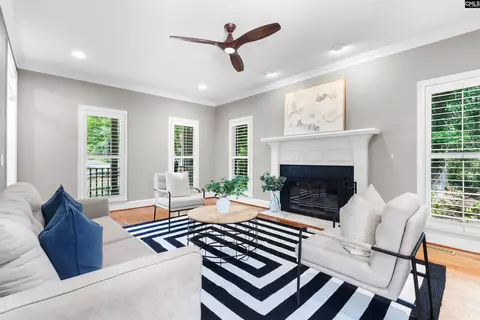 Living - 103 Wigfall Ct, Lexington, SC 29072 photo 1 of 1
