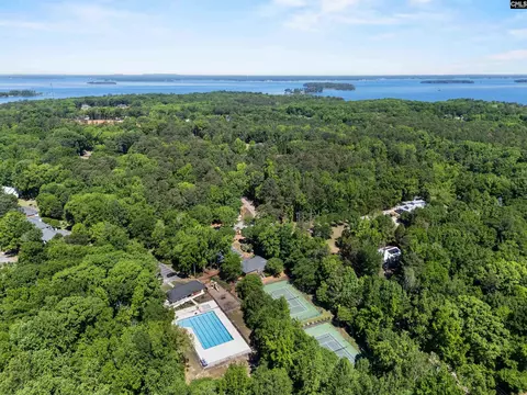 View/Area - 103 Wigfall Ct, Lexington, SC 29072 photo 3 of 5