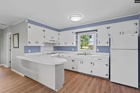 607 E Hampton, Olanta, SC 29114 photo 6