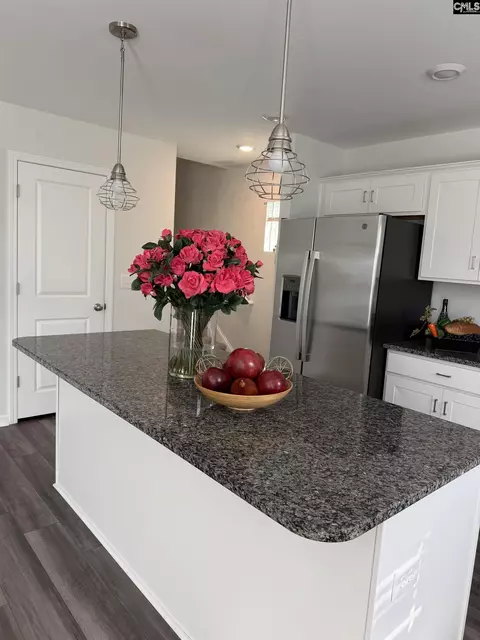 Kitchen - 709 Pink Rose, Elgin, SC 29045 photo 2 of 7
