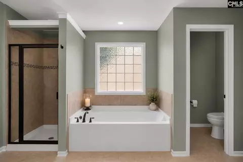 Bath - 582 Eagles Rest Dr, Chapin, SC 29036 photo 1 of 2