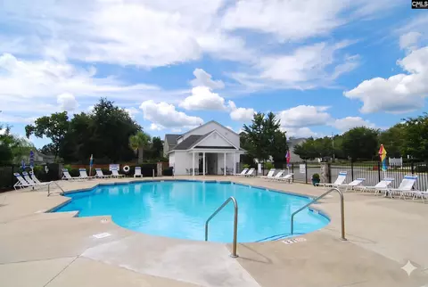 Exterior - 215 Eagle Pointe Dr, Chapin, SC 29036 photo 6 of 6