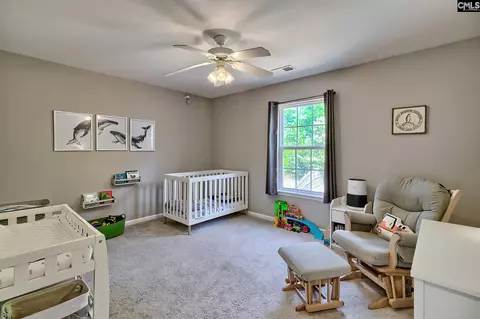 Other - 215 Eagle Pointe Dr, Chapin, SC 29036 photo 4 of 5