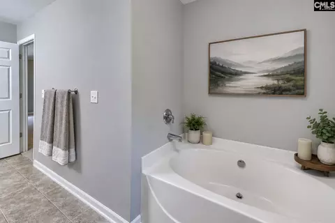 Bath - 215 Eagle Pointe Dr, Chapin, SC 29036 photo 3 of 5