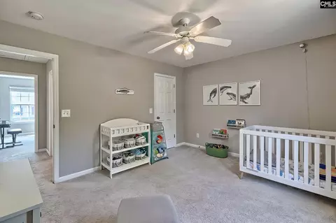 Other - 215 Eagle Pointe Dr, Chapin, SC 29036 photo 5 of 5