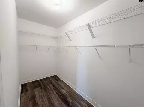 Other - 403 Eagle Claw Ct, Chapin, SC 29036 photo 5 of 8