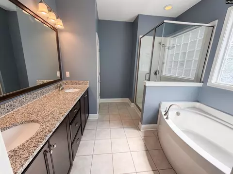 Bath - 403 Eagle Claw Ct, Chapin, SC 29036 photo 1 of 3