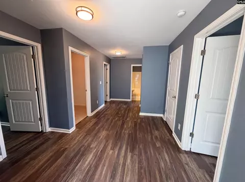 Entry Way - 403 Eagle Claw Ct, Chapin, SC 29036 photo 2 of 2