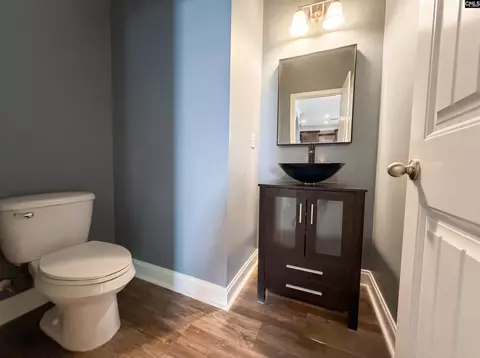 Bath - 403 Eagle Claw Ct, Chapin, SC 29036 photo 2 of 3