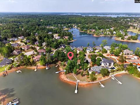 View/Area - 104 Turtle Pointe Ct, Chapin, SC 29036 photo 2 of 7