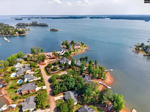 View/Area - 104 Turtle Pointe Ct, Chapin, SC 29036 photo 3 of 7