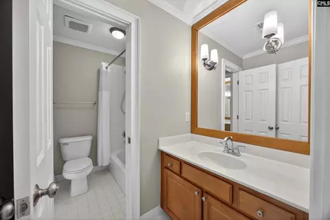 Bath - 104 Turtle Pointe Ct, Chapin, SC 29036 photo 4 of 7