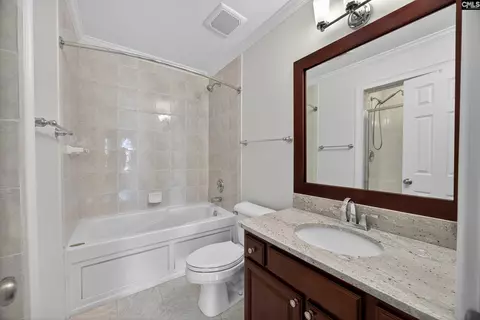 Bath - 104 Turtle Pointe Ct, Chapin, SC 29036 photo 6 of 7