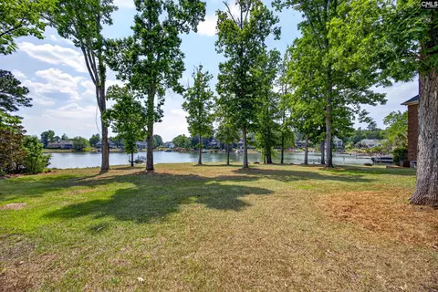 Exterior - 104 Turtle Pointe Ct, Chapin, SC 29036 photo 4 of 7