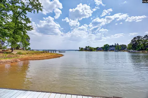 View/Area - 104 Turtle Pointe Ct, Chapin, SC 29036 photo 7 of 7