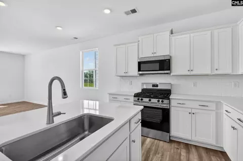 785 Ben Gunn Run, Gilbert, SC 29054 photo 19