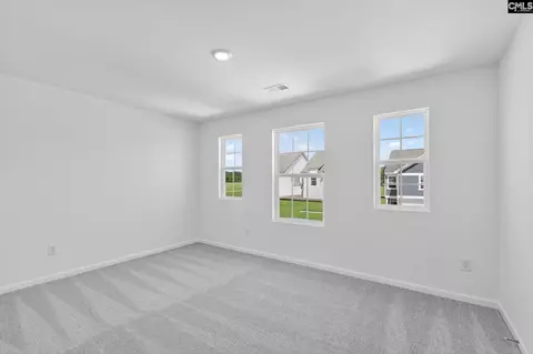 785 Ben Gunn Run, Gilbert, SC 29054 photo 15