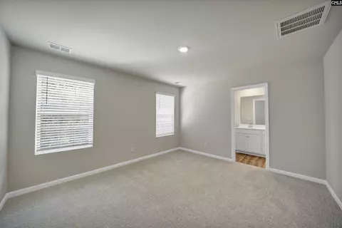 170 Winding Chestnut Dr, Columbia, SC 29212 photo 18