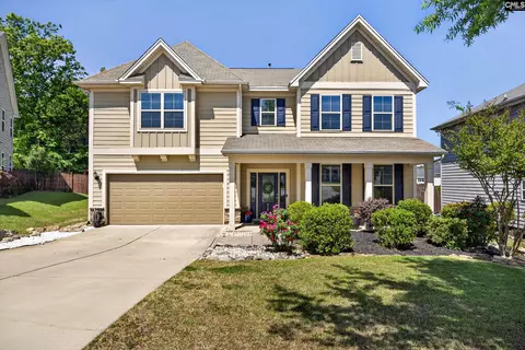 436 Maria Posada Ct, Chapin, SC 29036