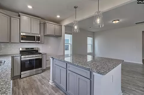 717 Miller Tree Way, Elgin, SC 29045 photo 14