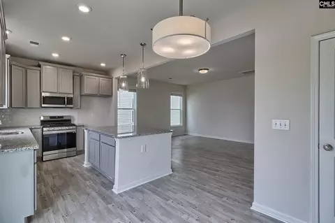717 Miller Tree Way, Elgin, SC 29045 photo 9