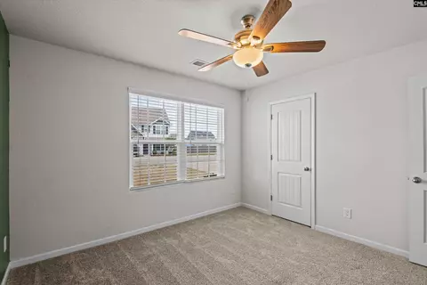 235 Common Reed Dr, Gilbert, SC 29054 photo 22