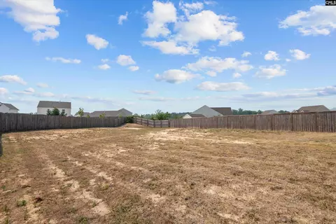 235 Common Reed Dr, Gilbert, SC 29054 photo 30