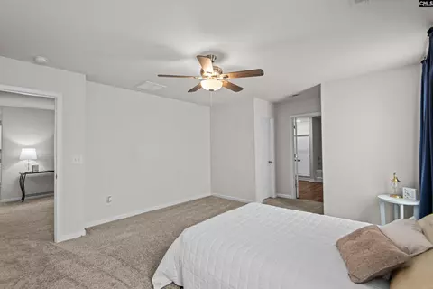 235 Common Reed Dr, Gilbert, SC 29054 photo 17