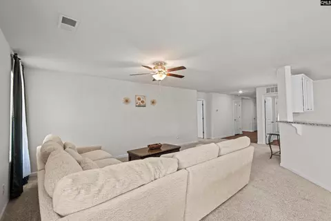 235 Common Reed Dr, Gilbert, SC 29054 photo 5