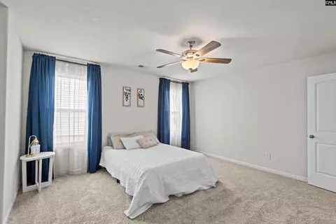 235 Common Reed Dr, Gilbert, SC 29054 photo 16