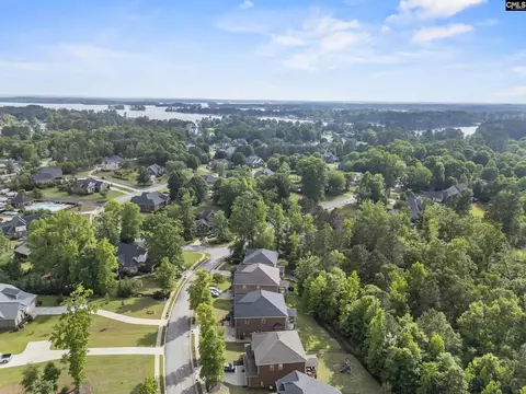 View/Area - 357 Bent Oak Dr, Chapin, SC 29036 photo 11 of 15